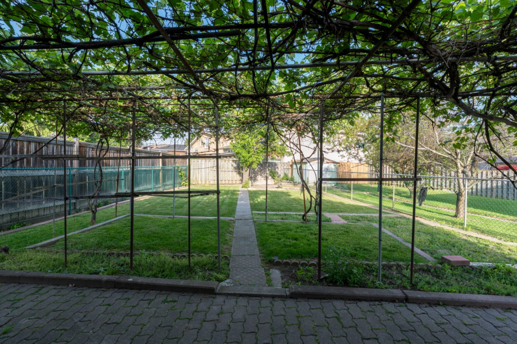 Backyard & side