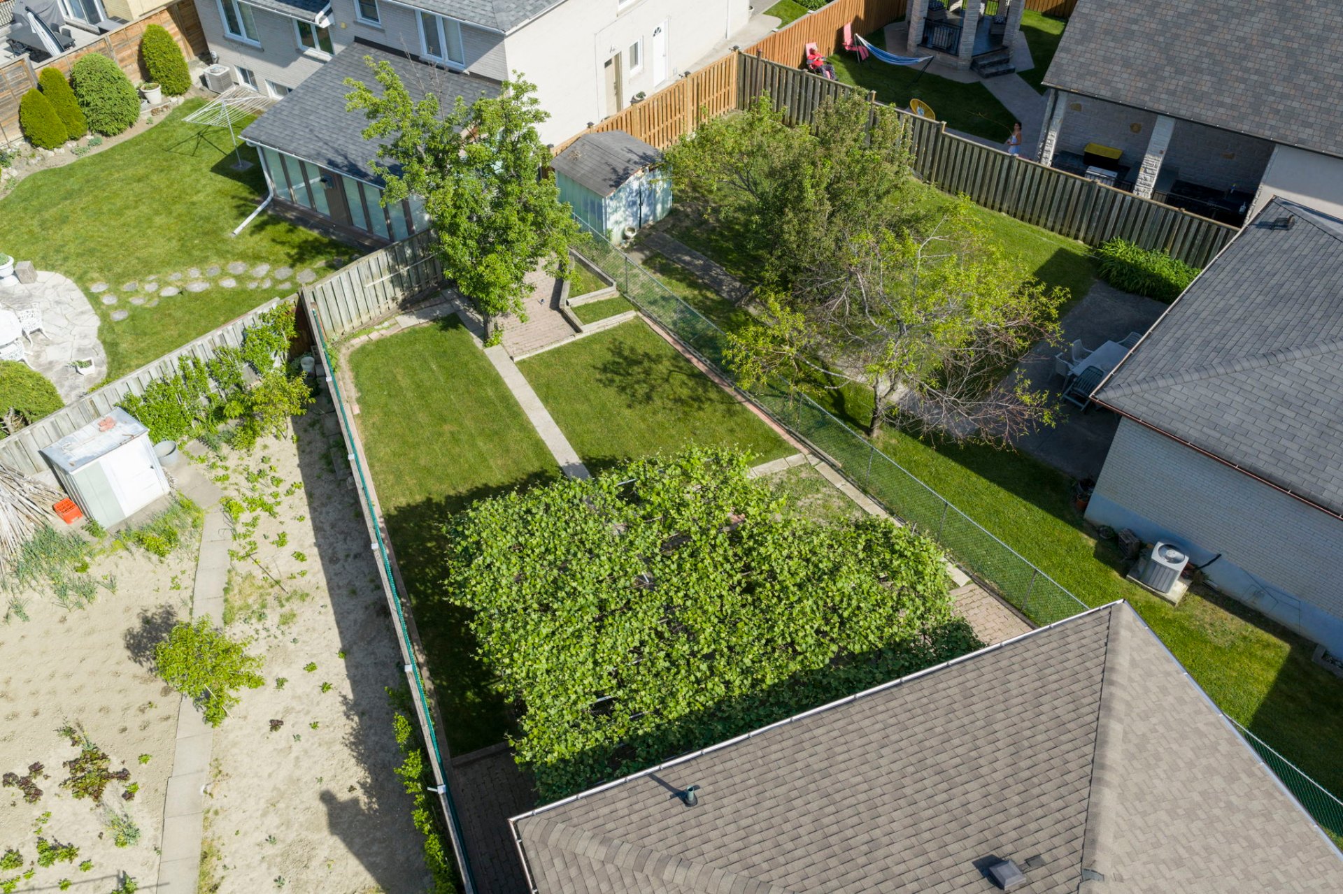 Aerial view