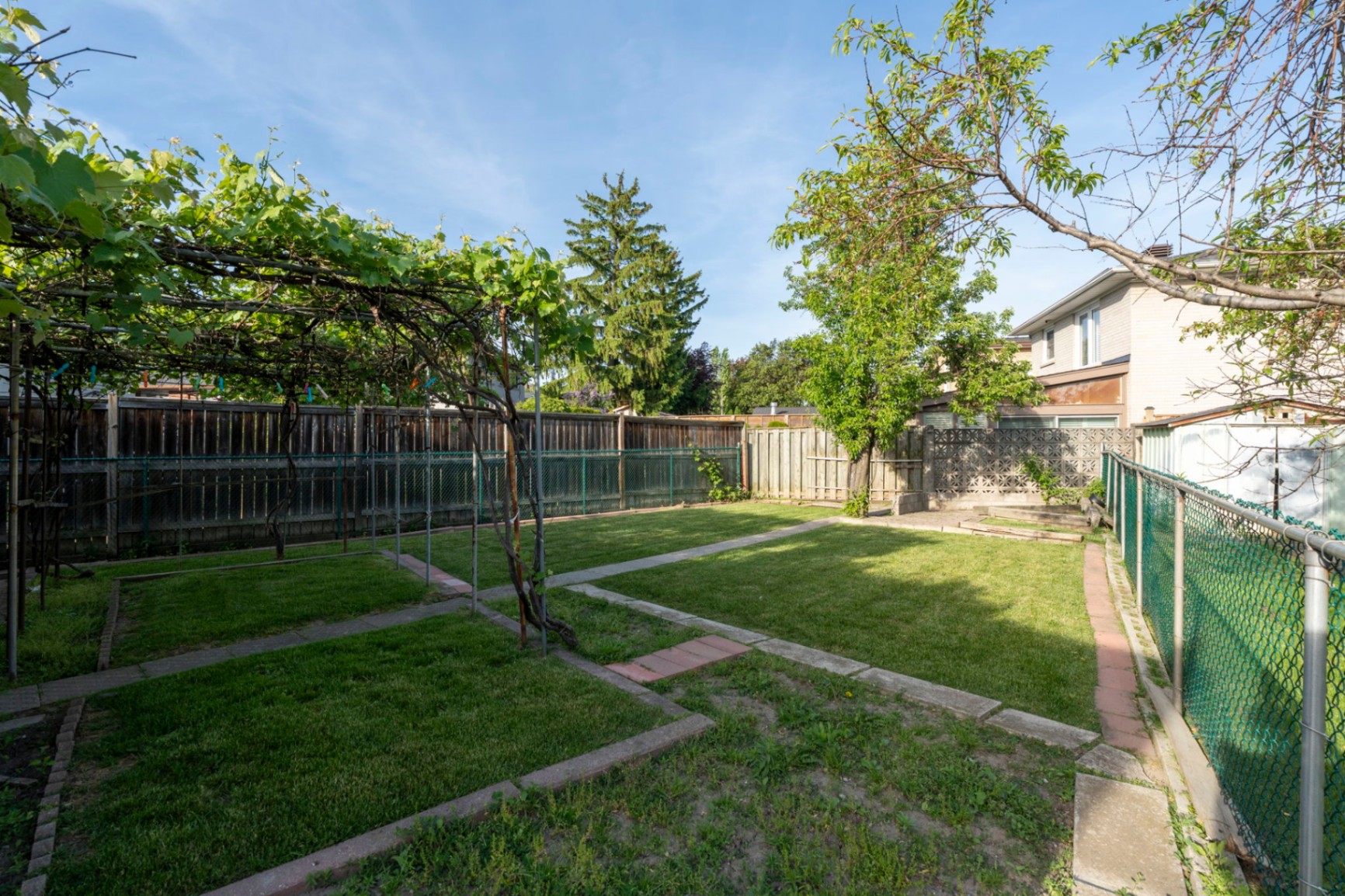 Backyard & side