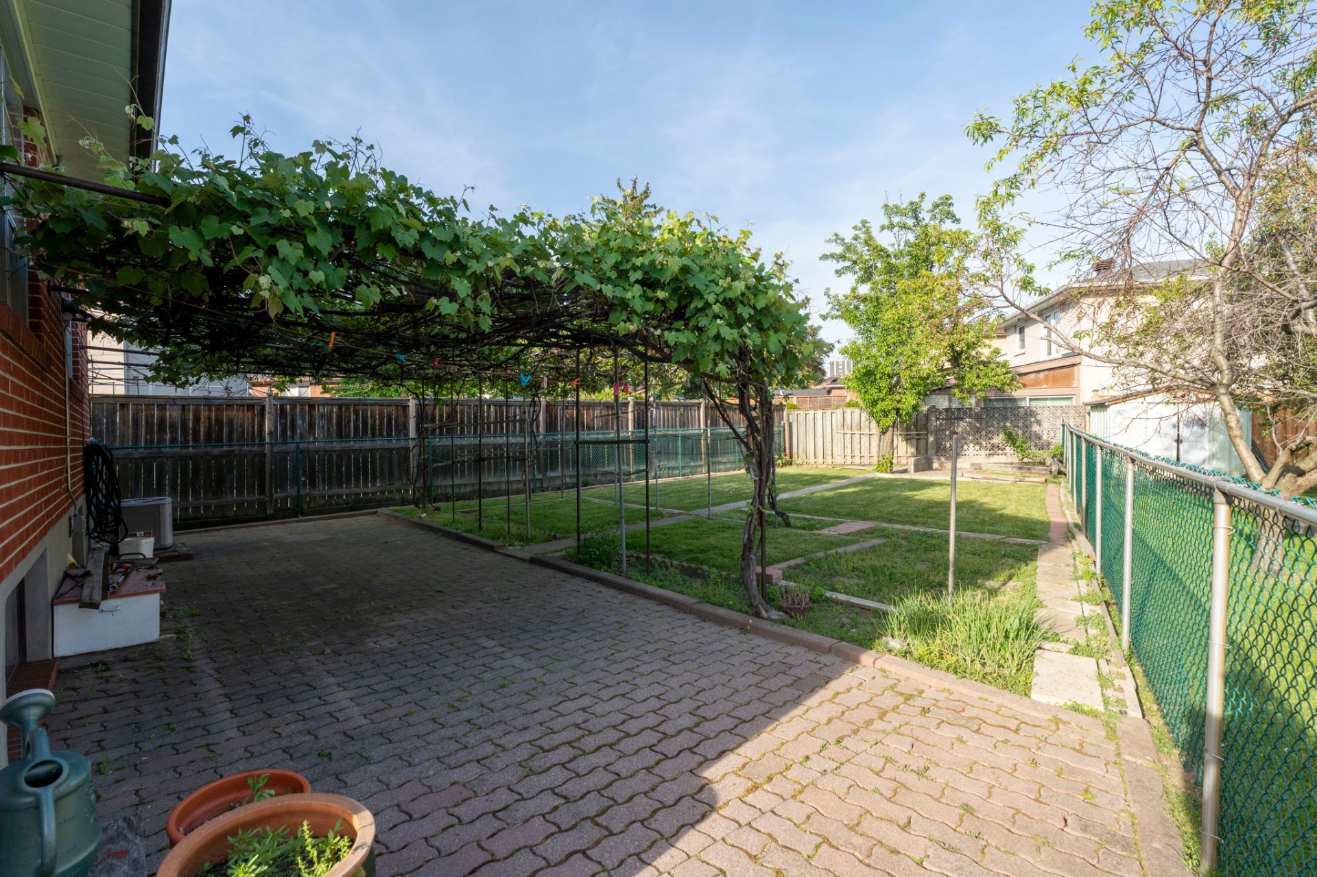 Backyard & side